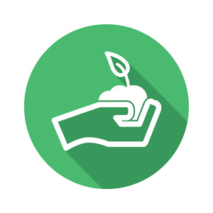 link to Student Wellness